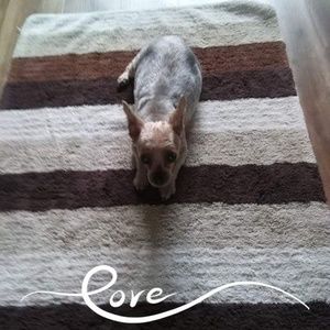 Meet your Posher, Kathleen